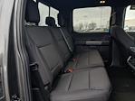 New 2025 Ford F-150 XLT SuperCrew Cab for sale #24779 - photo 14