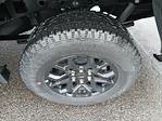 New 2025 Ford F-150 XLT SuperCrew Cab for sale #24779 - photo 21