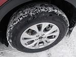 New 2026 Ford Escape Active for sale #24782 - photo 5