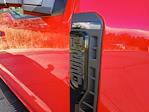 New 2026 Ford F-250 XL Crew Cab for sale #24799 - photo 8