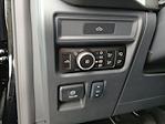New 2026 Ford F-150 Platinum SuperCrew Cab for sale #24880 - photo 10