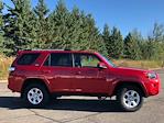 Used 2024 Toyota 4Runner SR5 for sale #87894 - photo 24