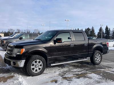Used 2013 Ford F-150 - photo 1