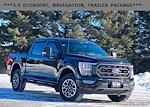 2023 Ford F-150 SuperCrew Cab 4WD Pickup for sale #87938 - photo 1
