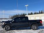 2023 Ford F-150 SuperCrew Cab 4WD Pickup for sale #87938 - photo 30