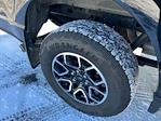 2023 Ford F-150 SuperCrew Cab 4WD Pickup for sale #87938 - photo 33