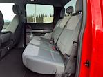 Used 2024 Ford F-250 XLT Crew Cab for sale #87959 - photo 22