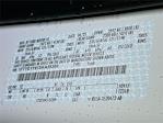 New 2025 Ford Transit 150 Low Roof Empty Cargo Van for sale #5FN415 - photo 16