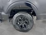 New 2025 Ford F-150 STX SuperCrew Cab for sale #5FN423 - photo 16