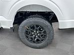 New 2025 Ford F-150 XLT SuperCrew Cab for sale #5FN470 - photo 15