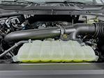 New 2025 Ford F-150 XLT SuperCrew Cab for sale #5FN470 - photo 18