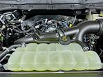 New 2025 Ford F-150 STX SuperCrew Cab for sale #5FN474 - photo 19