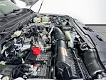 2025 Ford F-350 Regular Cab DRW 4WD Cab Chassis for sale #5UHD001 - photo 18
