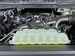 New 2026 Ford F-150 XL Regular Cab for sale #6FN043 - photo 18