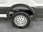 2026 Ford Transit 250 Medium Roof AWD Empty Cargo Van for sale #6FN065 - photo 15