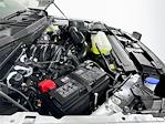 2026 Ford F-150 SuperCrew Cab 4WD Pickup for sale #6FN105 - photo 19