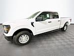 New 2026 Ford F-150 XL SuperCrew Cab for sale #6FN111 - photo 24