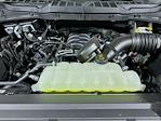 New 2026 Ford F-150 XLT SuperCrew Cab for sale #6FN147 - photo 19