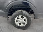 2024 Ford F-150 SuperCrew Cab 4WD Pickup for sale #KF37866 - photo 28