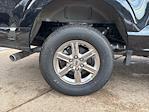 New 2025 Ford F-150 XLT SuperCrew Cab for sale #VF0555 - photo 9