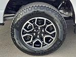 2023 Ford F-150 SuperCrew Cab 4WD Pickup for sale #PFC82692 - photo 3