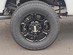 2025 Ford F-350 Regular Cab SRW 4WD Pickup for sale #SED20868 - photo 7