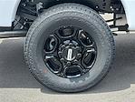2025 Ford F-350 Regular Cab SRW 4WD Pickup for sale #SED22075 - photo 7