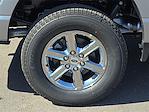 2025 Ford F-150 SuperCrew Cab 4WD Pickup for sale #SFA77441 - photo 7