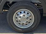 New 2026 Ford Transit 250 Medium Roof Empty Cargo Van for sale #TKB18488 - photo 8