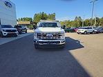 New 2025 Ford F-350 Regular Cab Stainless Steel Dump Truck for sale #258257 - photo 8