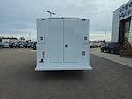 New 2025 Ford E-350 Service Utility Van for sale #258463 - photo 4