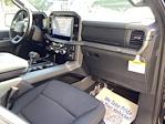 New 2025 Ford F-150 XLT SuperCrew Cab for sale #25SF2817 - photo 17