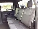 New 2026 Ford F-150 STX SuperCrew Cab for sale #26SF3254 - photo 22