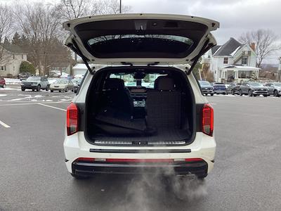 Used 2024 Hyundai Palisade - photo 1