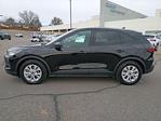 Used 2025 Ford Escape Active for sale #PT0244 - photo 2