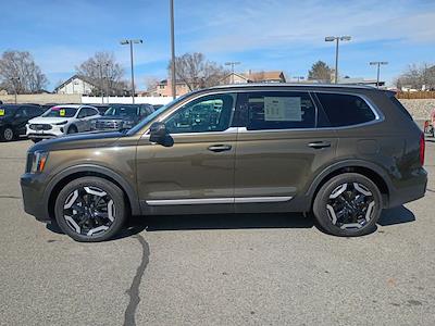 Used 2025 Kia Telluride - photo 1