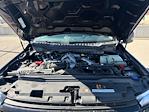 New 2025 Ford F-250 XLT Crew Cab for sale #ZT20692 - photo 26