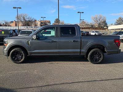 New 2025 Ford F-150 - photo 1