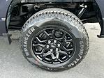 New 2026 Ford F-150 XLT SuperCrew Cab for sale #A07598 - photo 15