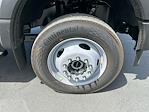 New 2025 Ford F-550 Regular Cab Combo Body for sale #A19039F - photo 13