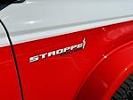 New 2025 Ford Bronco Stroppe Edition for sale #A20775 - photo 16