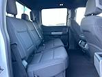 2025 Ford F-150 SuperCrew Cab 4WD Pickup for sale #C35197D - photo 15