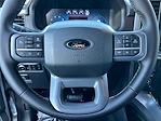 2025 Ford F-150 SuperCrew Cab 4WD Pickup for sale #C35197D - photo 27
