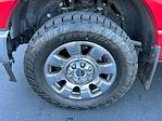 2023 Ford F-350 Crew Cab SRW 4WD Pickup for sale #D38388E - photo 11