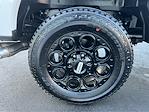 2026 Ford F-350 Crew Cab SRW 4WD Pickup for sale #D53007 - photo 20