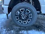 2026 Ford F-350 Crew Cab SRW 4WD Pickup for sale #D53347 - photo 12