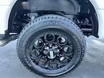 2026 Ford F-350 Crew Cab SRW 4WD Pickup for sale #D57817 - photo 15