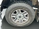 2024 Ford F-350 Crew Cab SRW 4WD Pickup for sale #TG01208CV - photo 15