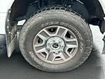 2024 Ford F-350 Crew Cab SRW 4WD Pickup for sale #TG01208CV - photo 18