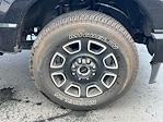2024 Ford F-250 Crew Cab 4WD Pickup for sale #TG01209 - photo 16